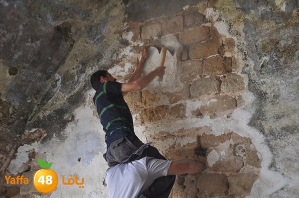 roben awqfaf0412 (10).JPG